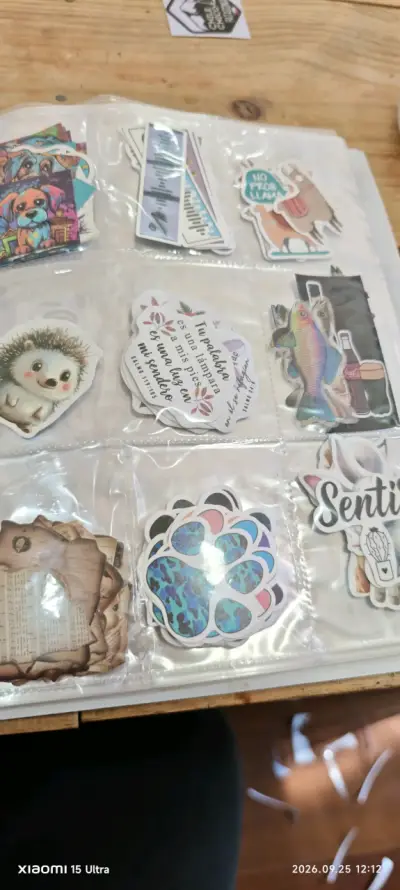 Set de Stickers de Córdoba y Argentina - miniatura 4
