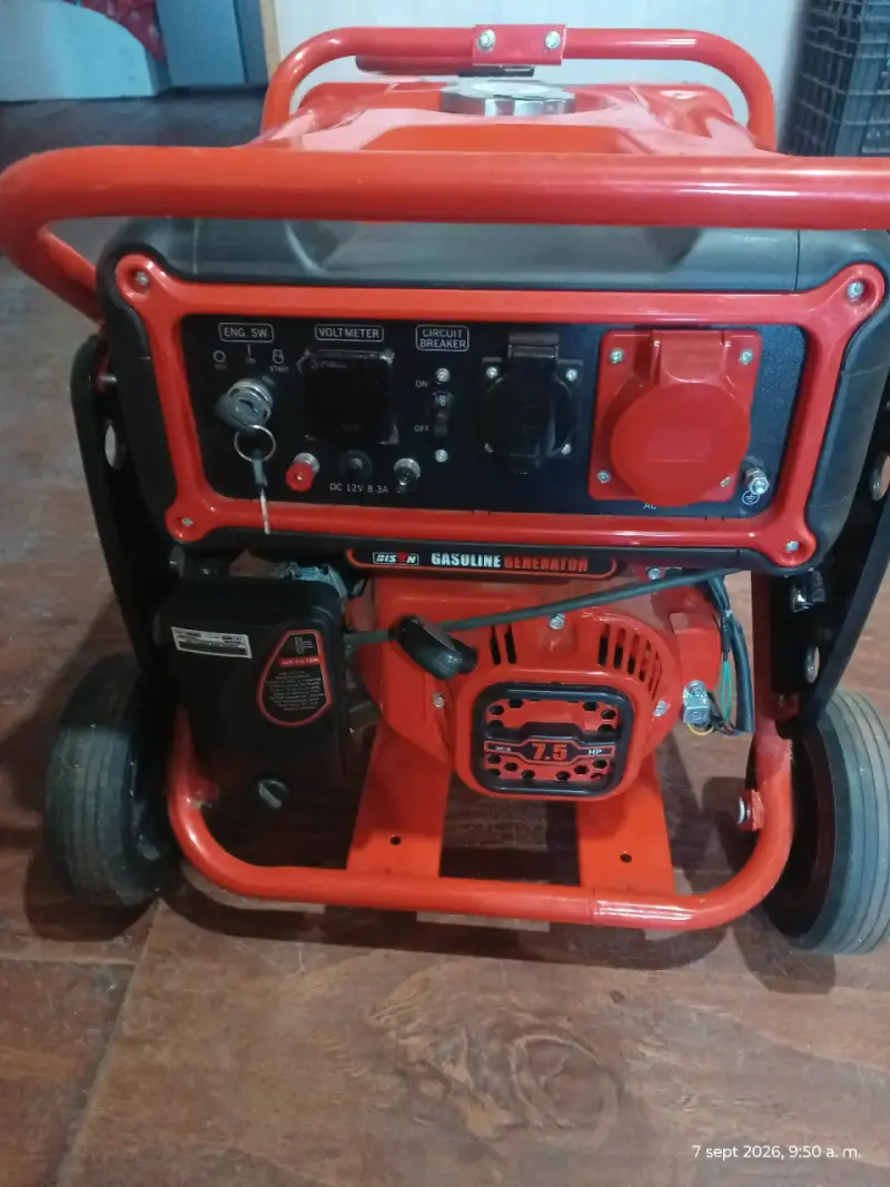 Generador a gasolina 7.5 HP BISN PO-10000W - 1