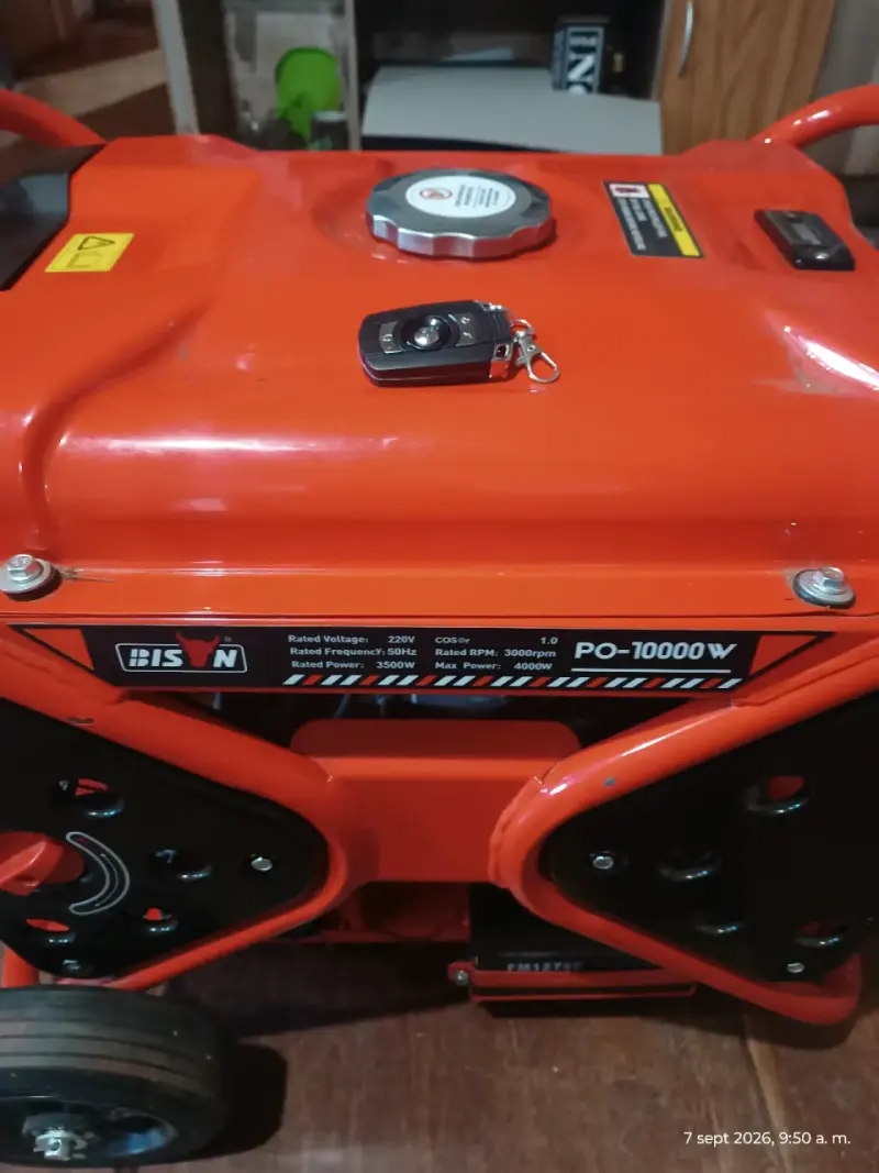 Generador a gasolina 7.5 HP BISN PO-10000W - 2