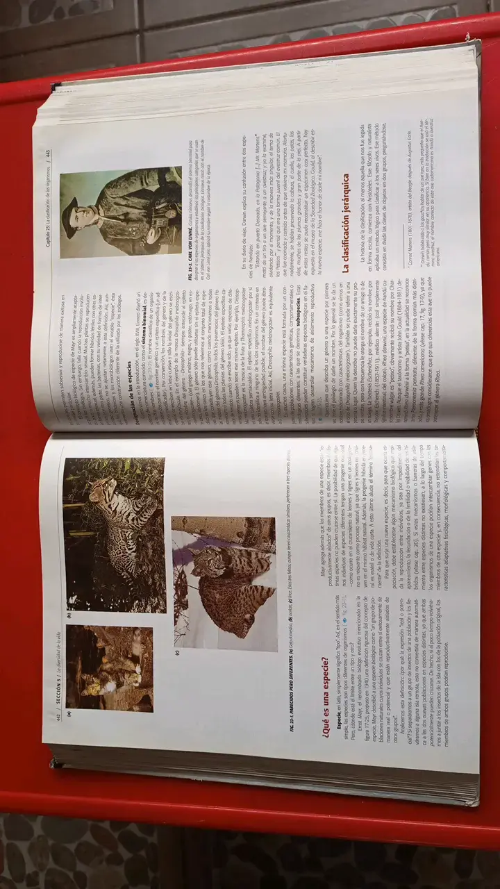 Libro de Biología Curtis Séptima Edición - 2