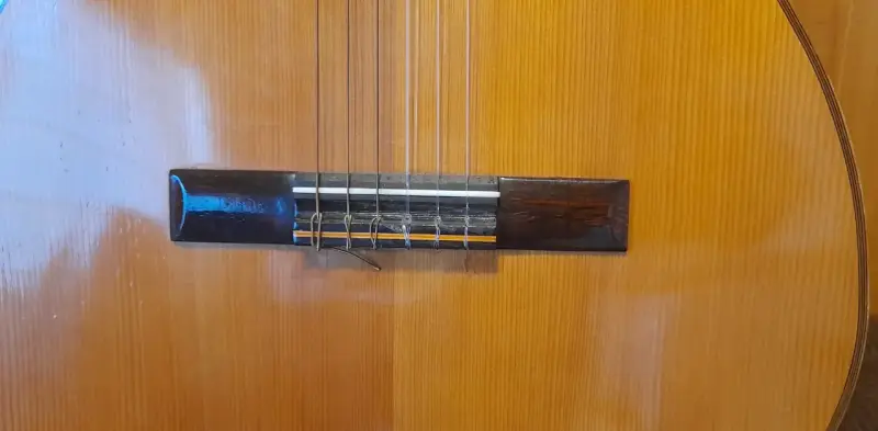 Liquido Guitarra Clásica de colección Giannini - 2