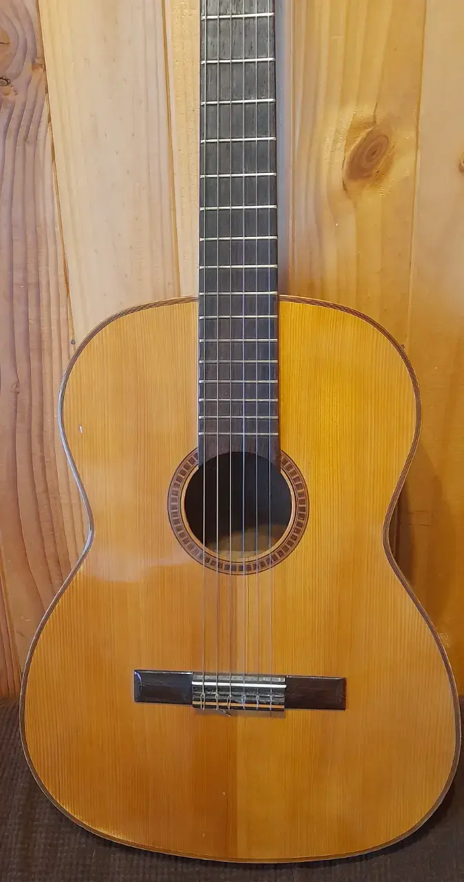 Liquido Guitarra Clásica de colección Giannini - 3