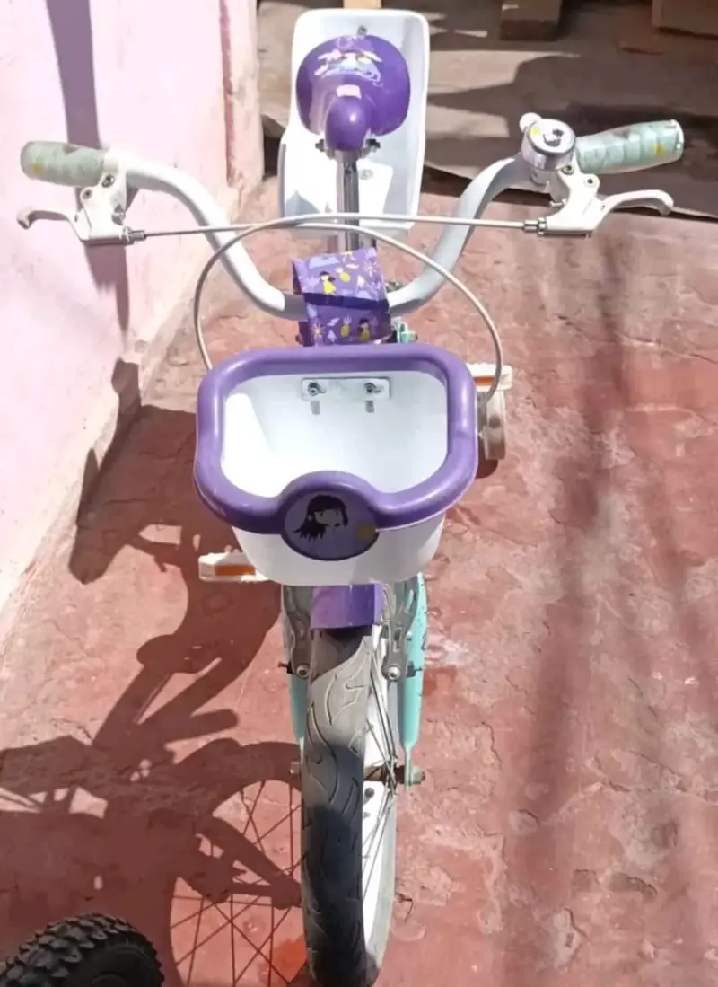 Bicicleta infantil Oxford con rueditas y asiento - 2