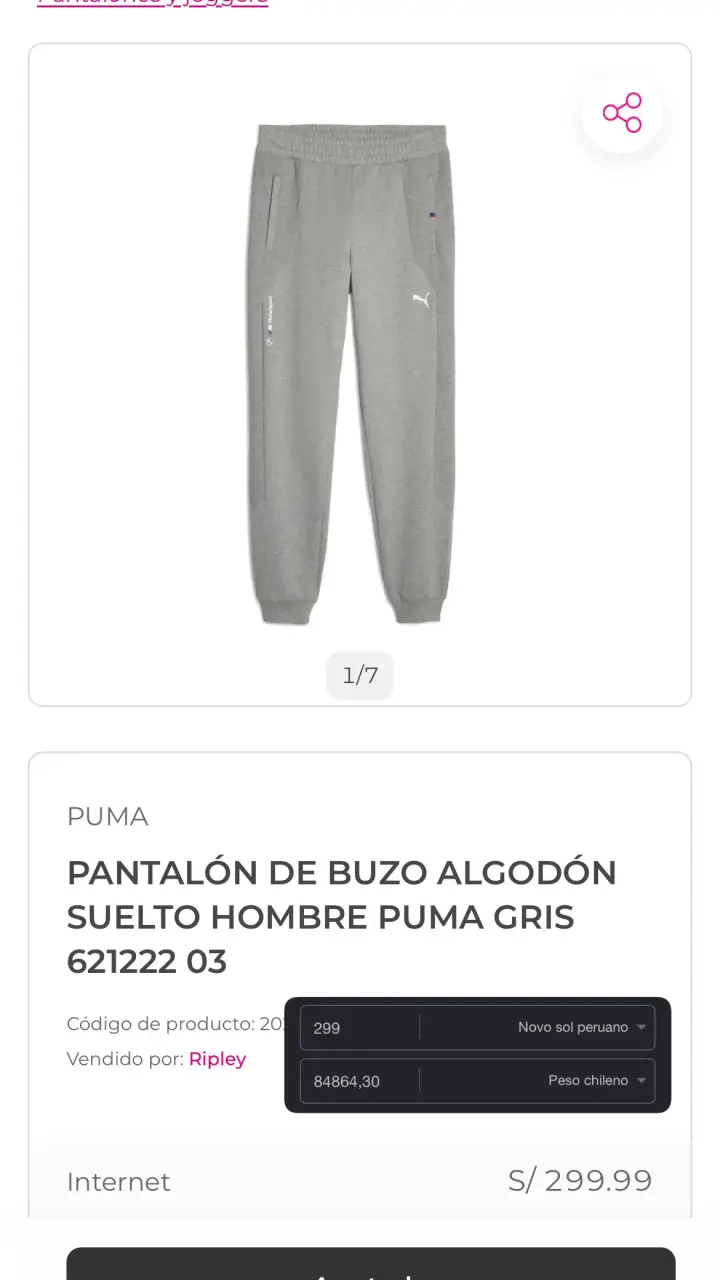 Conjunto deportivo gris Puma BMW Motorsport - 6
