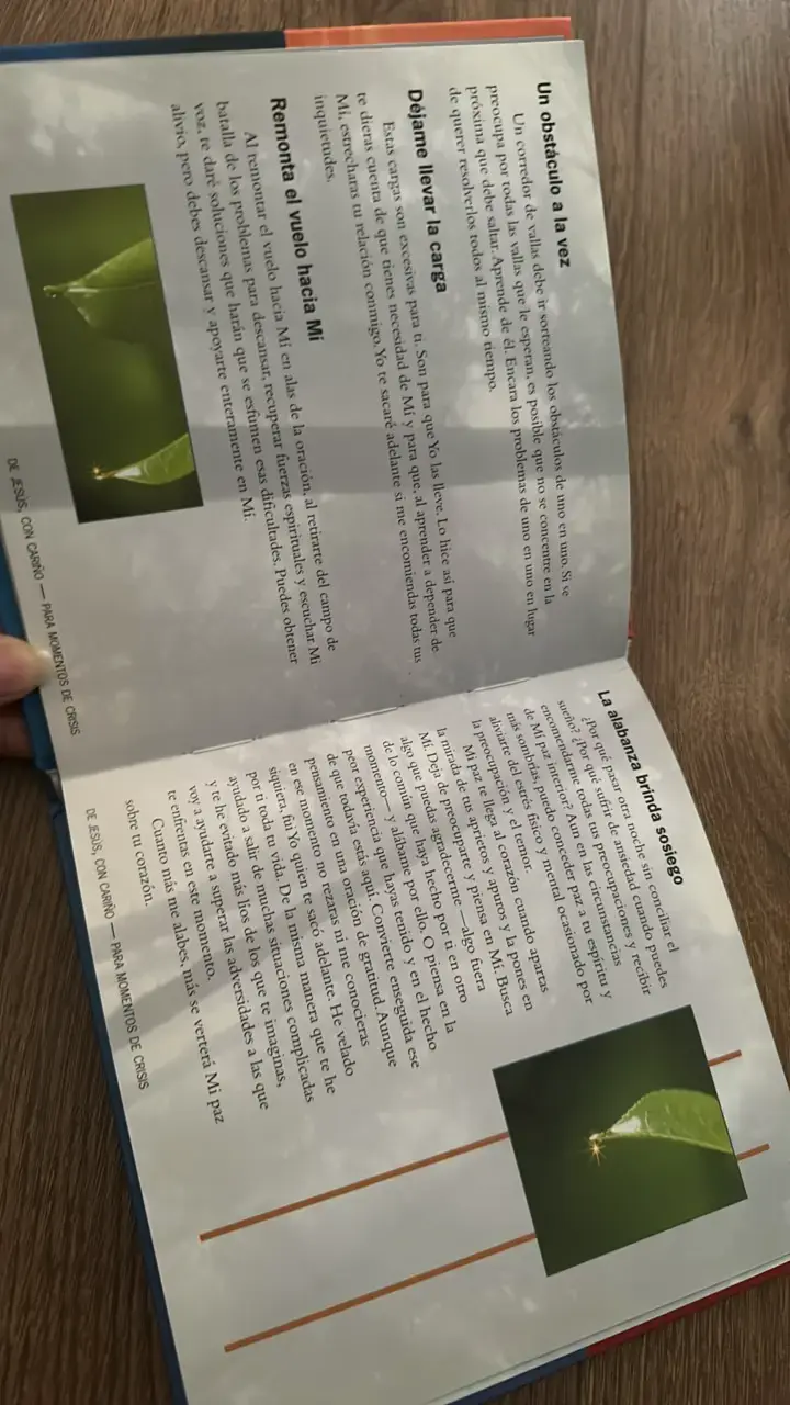 'De Jesús, con cariño' para momentos de crisis - 3