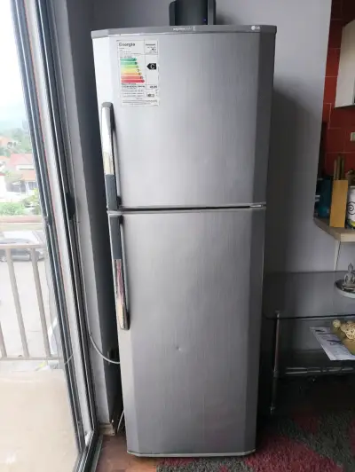 Refrigerador LG de dos puertas No Frost - miniatura 1
