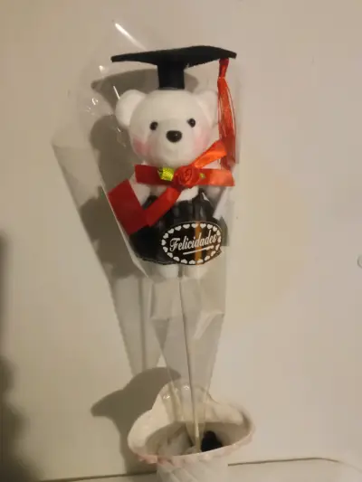 Osito de Felpa con Toga de Graduación - miniatura 3