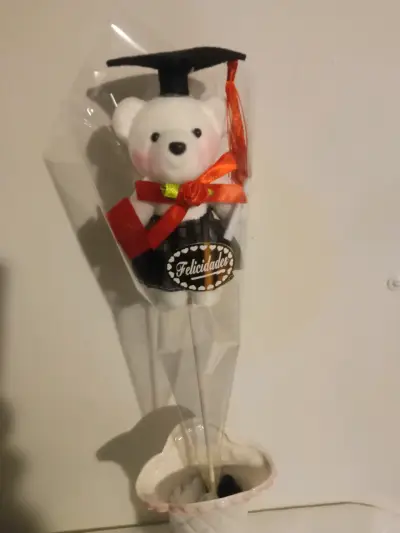 Osito de Felpa con Toga de Graduación - miniatura 5