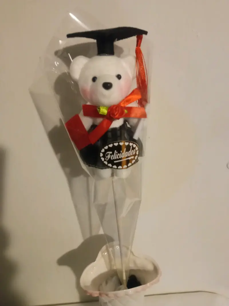 Osito de Felpa con Toga de Graduación - 7