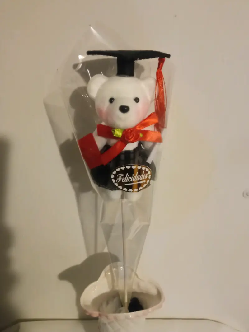 Osito de Felpa con Toga de Graduación - 12