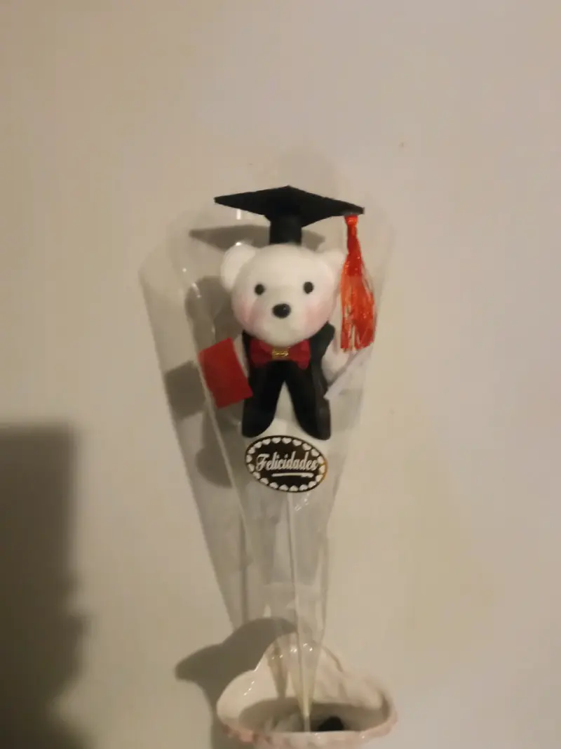 Osito de Graduación con Birrete y Diploma - 1