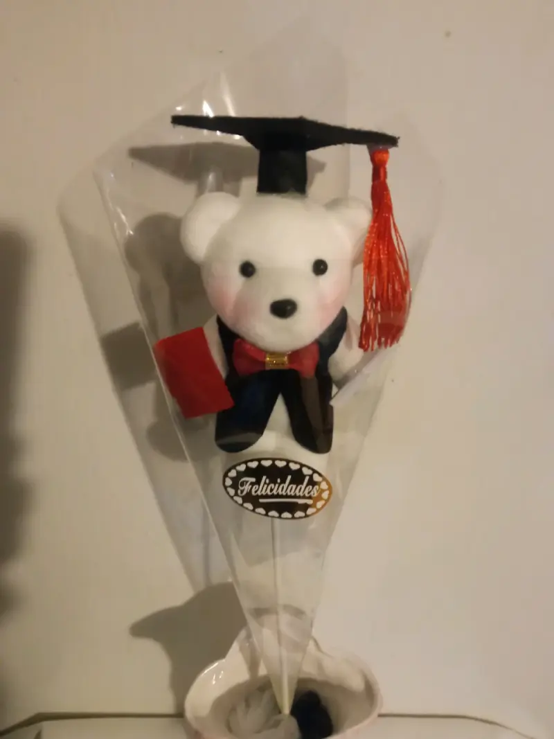 Osito de Graduación con Birrete y Diploma - 2