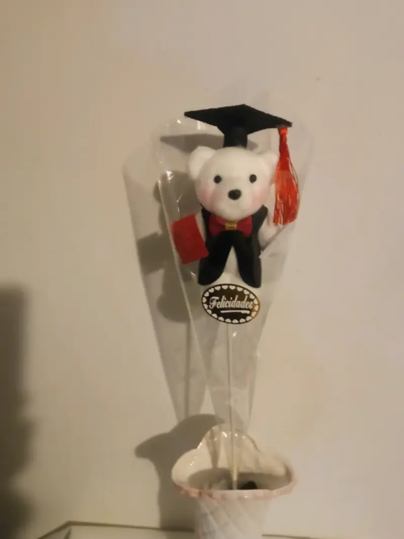 Osito de Graduación con Birrete y Diploma - 4
