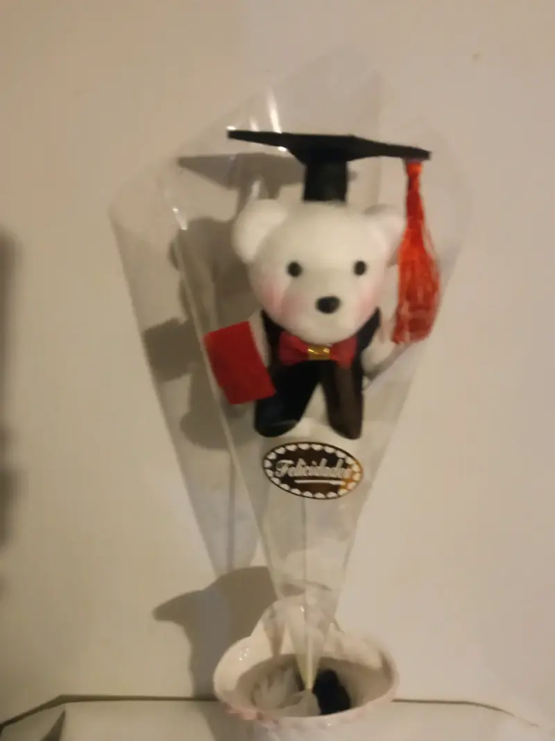 Osito de Graduación con Birrete y Diploma - 5