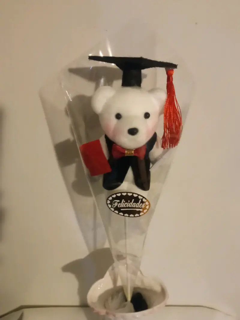 Osito de Graduación con Birrete y Diploma - 6
