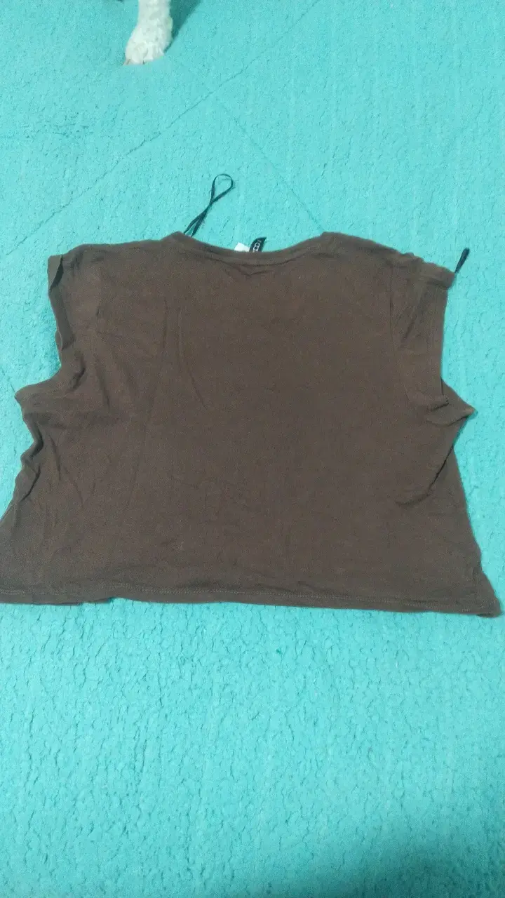 Polera marrón - 2