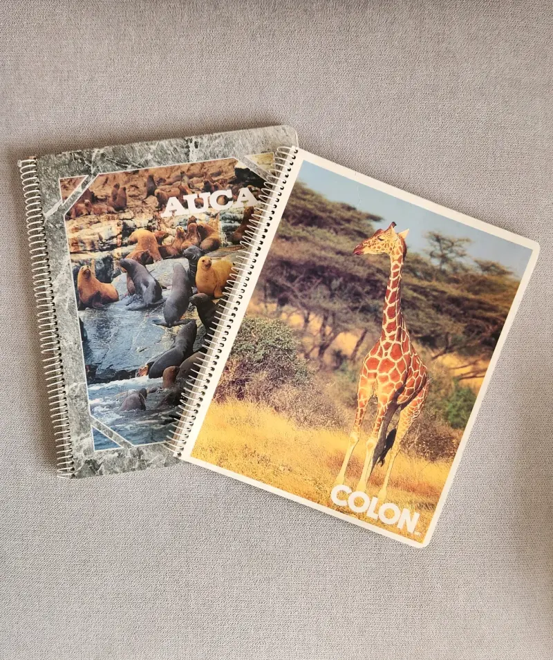 Cuadernos vintage Auca y Colón - 1