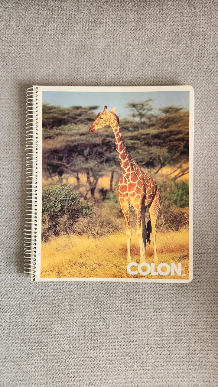 Cuadernos vintage Auca y Colón - 2