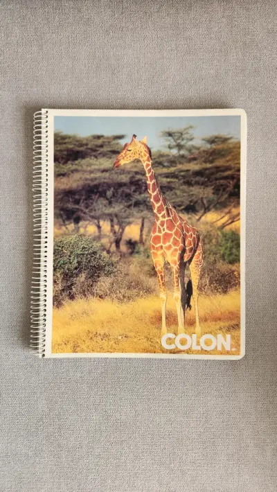 Cuadernos vintage Auca y Colón - miniatura 2