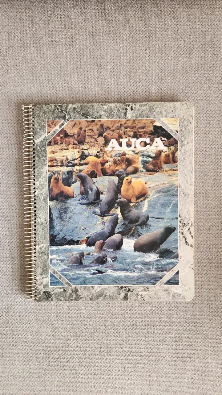 Cuadernos vintage Auca y Colón - 3