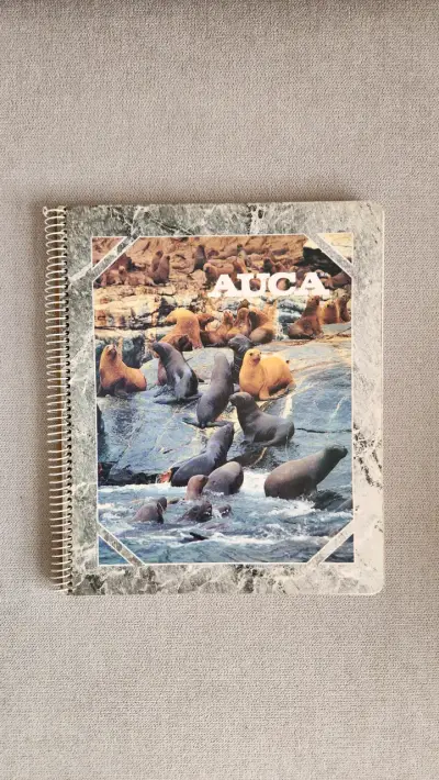 Cuadernos vintage Auca y Colón - miniatura 3