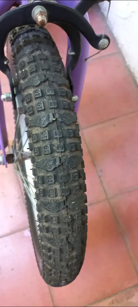 Bicicleta infantil morada con diseño floral - 5