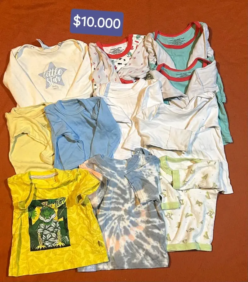 Lote de poleras y bodys para bebé en varios colores