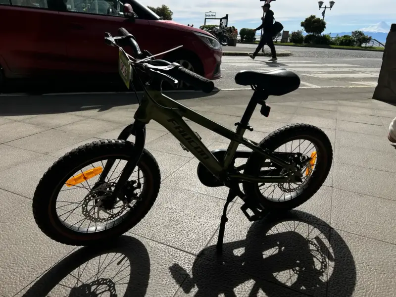 Bicicleta infantil Faucon verde con frenos de dis - 3