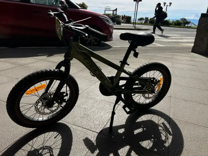 Bicicleta infantil Faucon verde con frenos de dis - 4