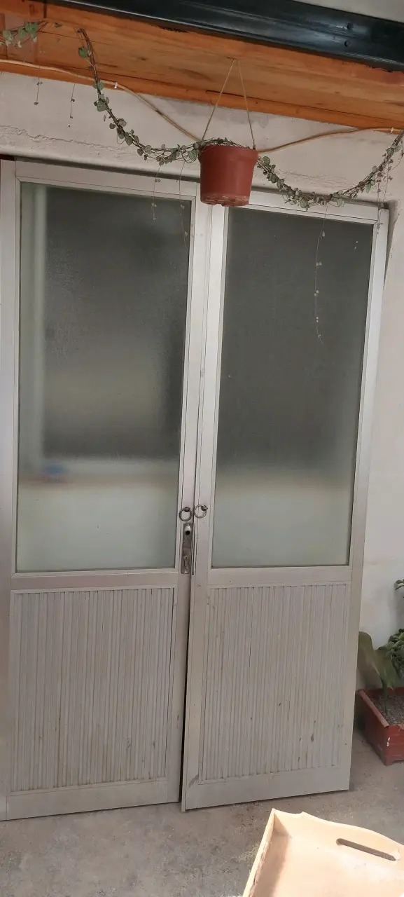 Puerta doble de aluminio con vidrio esmerilado - 2