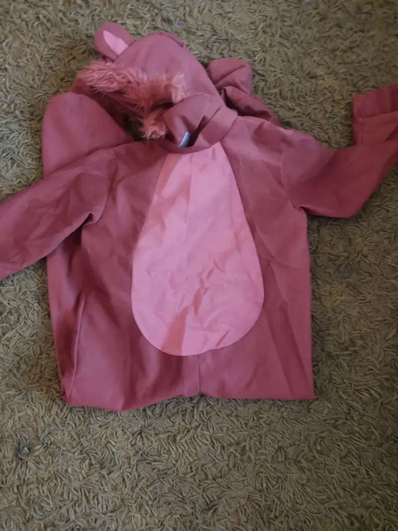 Disfraz de león para niños talla 8-10 - 6