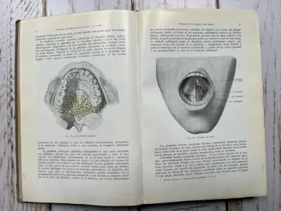 Libro Anatomía para Dentistas Segunda Edición - miniatura 4