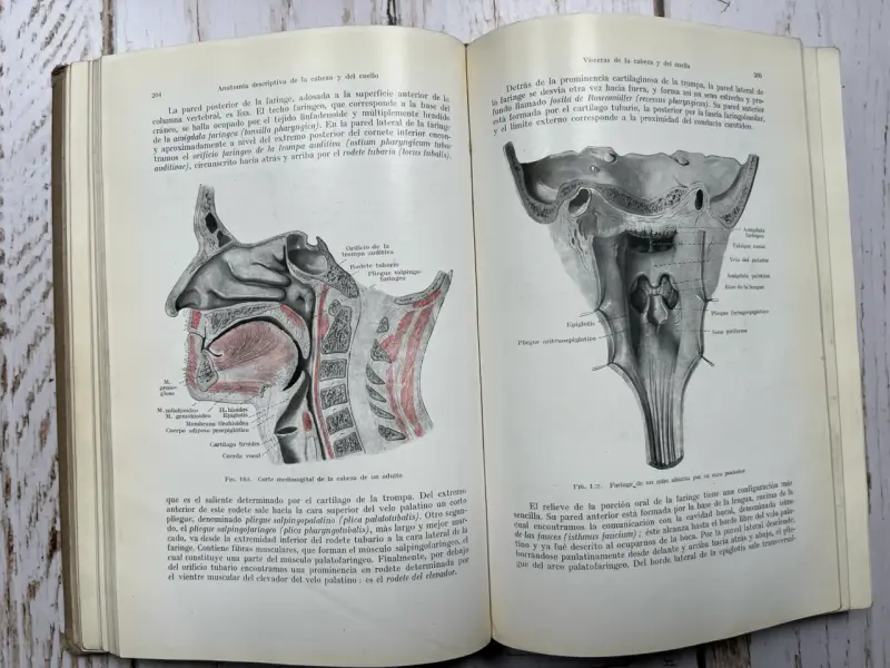 Libro Anatomía para Dentistas Segunda Edición - 5