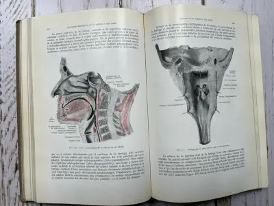 Libro Anatomía para Dentistas Segunda Edición - miniatura 5