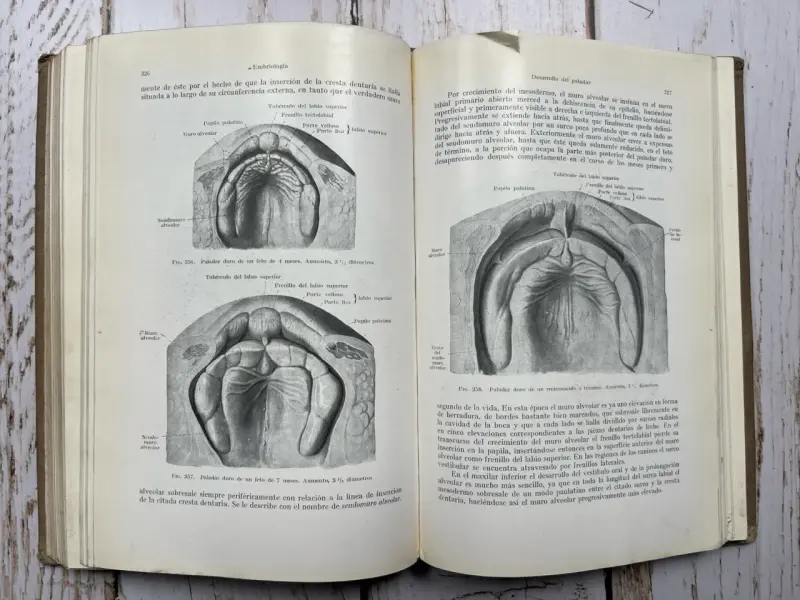 Libro Anatomía para Dentistas Segunda Edición - 6