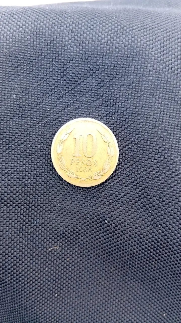 Moneda chilena de 10 pesos de 1986 (Fecha ancha) - 1