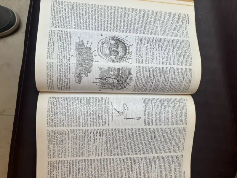 Enciclopedia Universal Sopena 10 Tomos Completa - 6