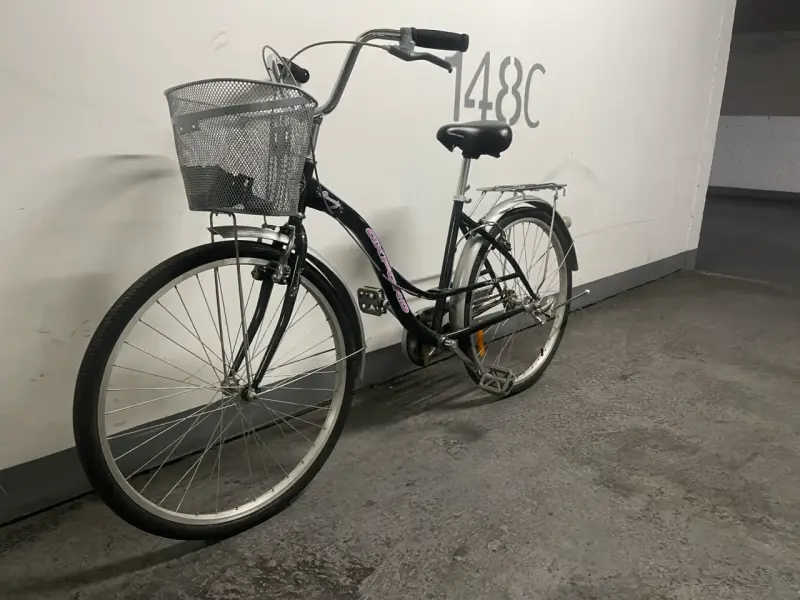 Bicicleta OXFORD con canasto y parrilla trasera - 2