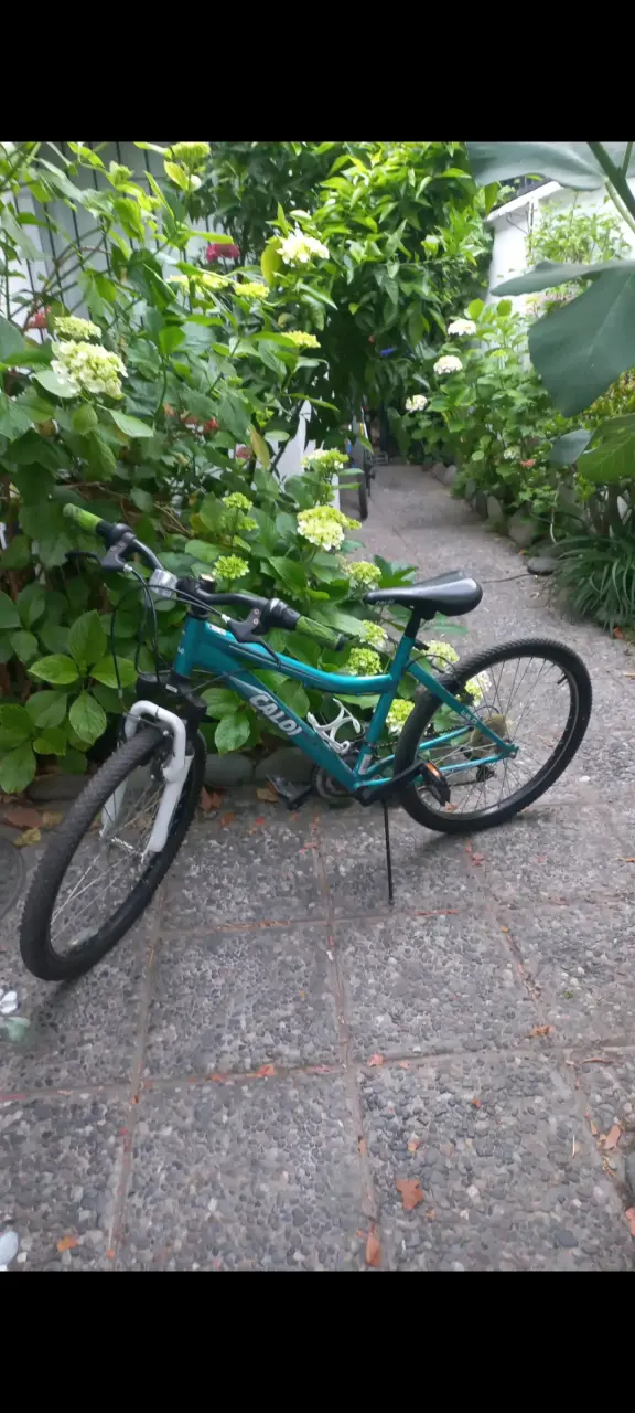 Bicicleta Caloi para niños color verde - 1