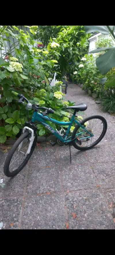 Bicicleta Caloi para niños color verde - miniatura 1