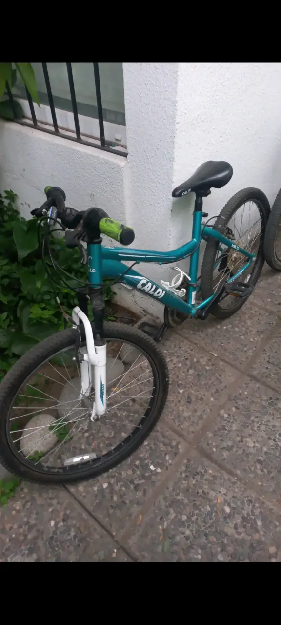 Bicicleta Caloi para niños color verde - 2