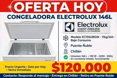 Congelador Electrolux 146L en buen estado - miniatura 4