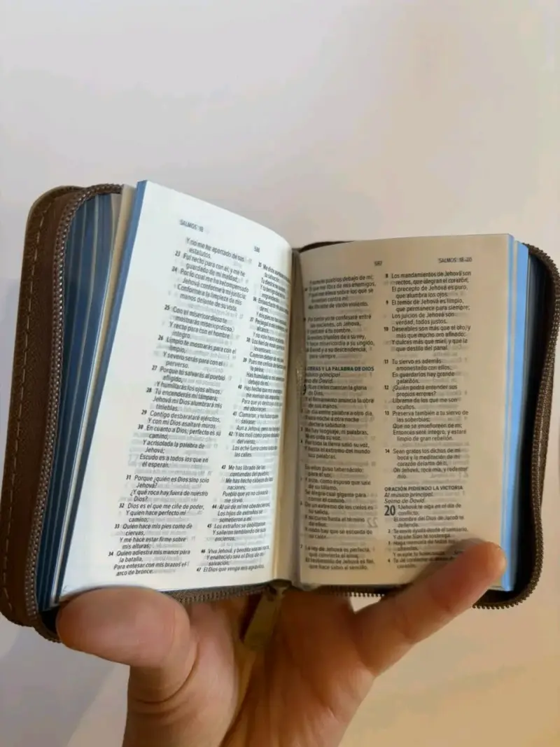 Biblia compacta Reina-Valera 1960 con funda - 2