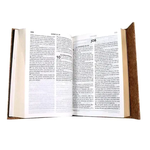 Biblia Reina-Valera 1960 Letra Grande Tapa Dura - 3