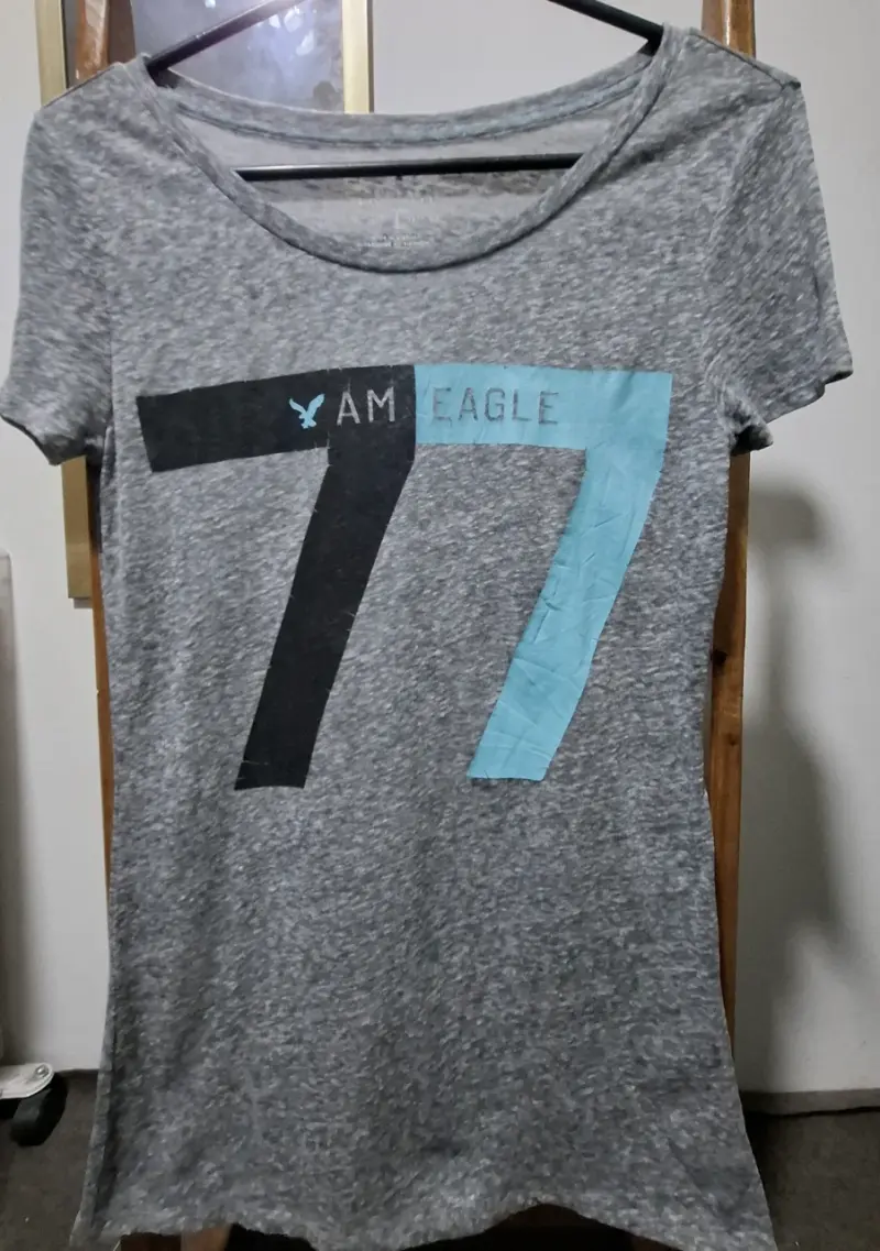 Polera gris con diseño 77 de American Eagle