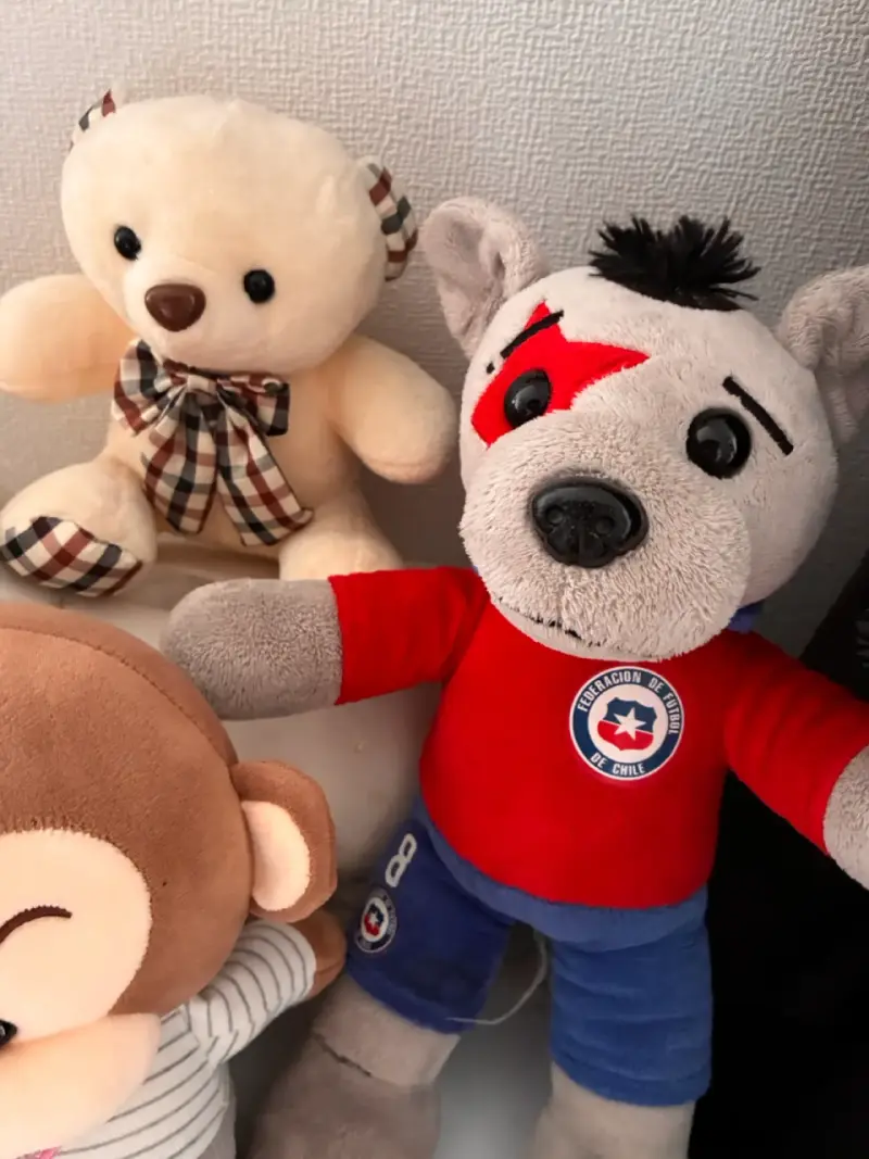 Set de peluches variados para niños - 2