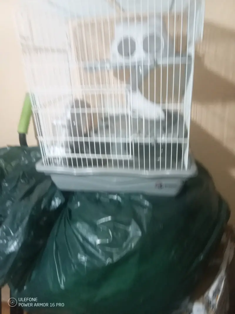 Jaula para aves mediana con accesorios