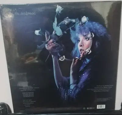 Vinilo Stevie Nicks Bella Donna - miniatura 2