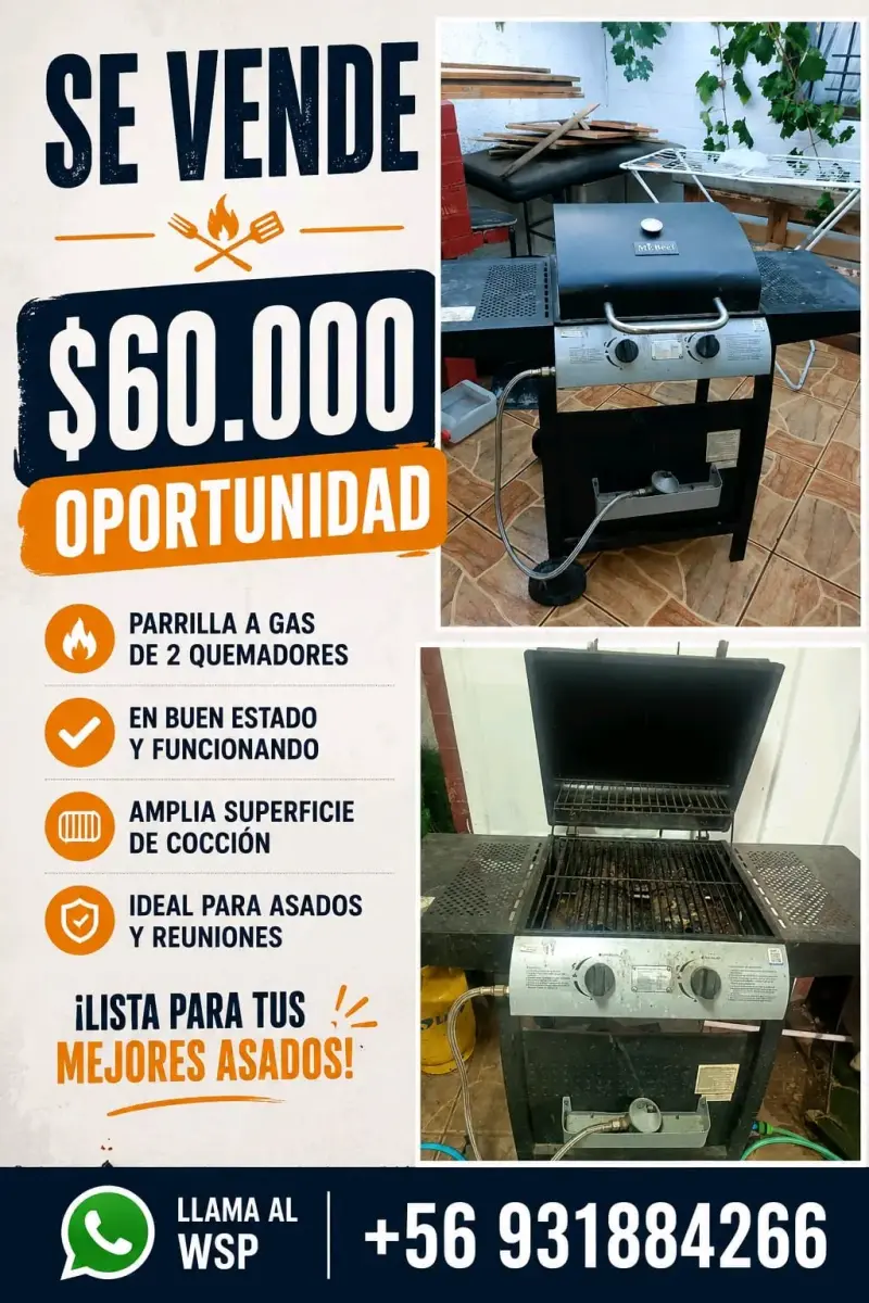 Parrilla a gas de 2 quemadores en buen estado