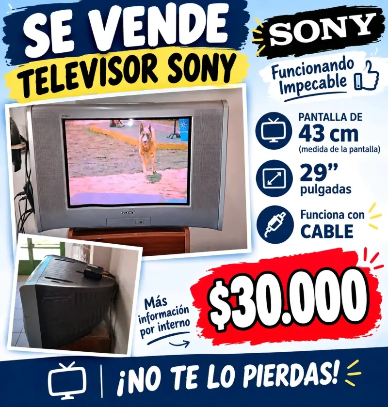 Televisor Sony 29 pulgadas funcionando impecable